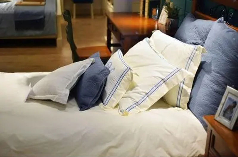 Home Textile Pillow 