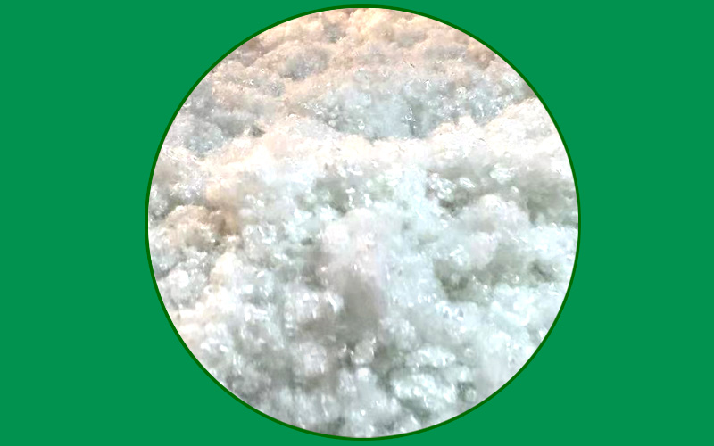 Polyester Staple Fiber Hollow Conjugated Siliconized